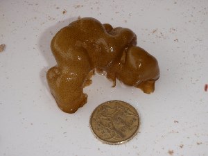  ( - GWS024904)  @11 [ ] Unspecified (default): All Rights Reserved  Unspecified Unspecified