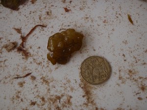  ( - GWS025024)  @11 [ ] Unspecified (default): All Rights Reserved  Unspecified Unspecified