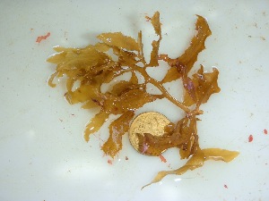  ( - GWS032257)  @11 [ ] Unspecified (default): All Rights Reserved  Unspecified Unspecified