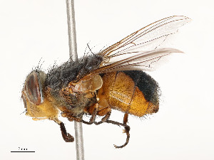  ( - CBG-A58695-F07)  @11 [ ] CreativeCommons - Attribution Share - Alike (2025) CBG Photography Group Centre for Biodiversity Genomics
