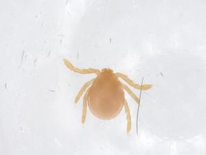  ( - CBG-A63282-E05)  @11 [ ] CreativeCommons - Attribution Share - Alike (2025) Centre for Biodiversity Genomics Centre for Biodiversity Genomics