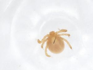  ( - CBG-A63282-G12)  @11 [ ] CreativeCommons - Attribution Share - Alike (2025) Centre for Biodiversity Genomics Centre for Biodiversity Genomics