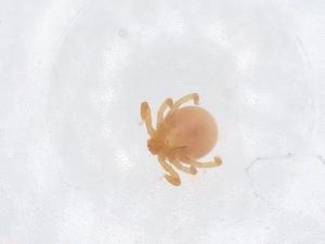  ( - CBG-A63284-D11)  @11 [ ] CreativeCommons - Attribution Share - Alike (2025) Centre for Biodiversity Genomics Centre for Biodiversity Genomics