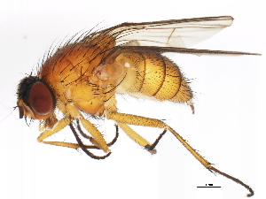  ( - BIOUG01373-C09)  @13 [ ] CreativeCommons - Attribution (2012) CBG Photography Group Centre for Biodiversity Genomics