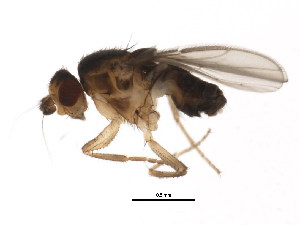  ( - BIOUG01345-C04)  @12 [ ] CreativeCommons - Attribution (2011) CBG Photography Group Centre for Biodiversity Genomics