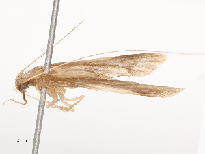  ( - CBG-B02338-B02)  @11 [ ] CreativeCommons - Attribution Share - Alike (2025) CBG Photography Group Centre for Biodiversity Genomics