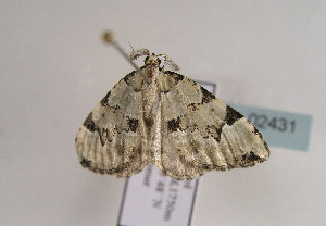  ( - TLMF Lep 02431)  @12 [ ] Copyright  TLMF 2011 Unspecified