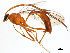  ( - 10PHMAL-0331)  @14 [ ] CreativeCommons - Attribution (2011) CBG Photography Group Centre for Biodiversity Genomics