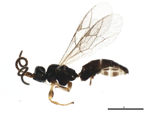  ( - 10PHMAL-0634)  @13 [ ] CreativeCommons - Attribution (2011) CBG Photography Group Centre for Biodiversity Genomics