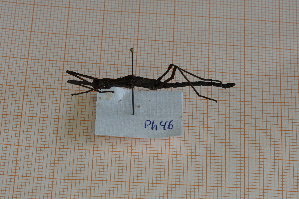  ( - Ph46)  @11 [ ] No Rights Reserved  Unspecified Unspecified