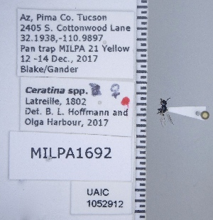  ( - UAIC1052912)  @11 [ ] CreativeCommons - Attribution Non-Commercial Share-Alike (2019) Wendy Moore University of Arizona