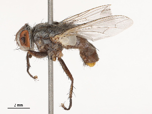  ( - CBG-B00176-H02)  @11 [ ] CreativeCommons - Attribution Share - Alike (2025) CBG Photography Group Centre for Biodiversity Genomics