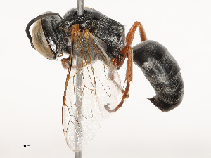  ( - CBG-B00180-E05)  @11 [ ] CreativeCommons - Attribution Share - Alike (2025) CBG Photography Group Centre for Biodiversity Genomics