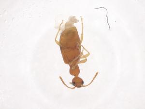  ( - CBG-B01924-B01)  @11 [ ] CreativeCommons - Attribution Share - Alike (2025) Centre for Biodiversity Genomics Centre for Biodiversity Genomics