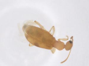  ( - CBG-B01925-A06)  @11 [ ] CreativeCommons - Attribution Share - Alike (2025) Centre for Biodiversity Genomics Centre for Biodiversity Genomics