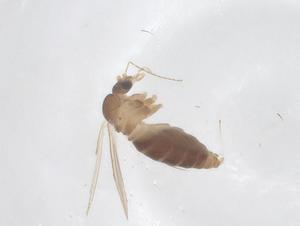  ( - CBG-B01934-F07)  @11 [ ] CreativeCommons - Attribution Share - Alike (2025) Centre for Biodiversity Genomics Centre for Biodiversity Genomics