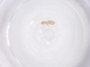  ( - CBG-B01953-A10)  @11 [ ] CreativeCommons - Attribution Share - Alike (2025) Centre for Biodiversity Genomics Centre for Biodiversity Genomics