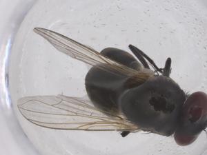  ( - CBG-B04814-A07)  @11 [ ] CreativeCommons - Attribution Share - Alike (2025) Centre for Biodiversity Genomics Centre for Biodiversity Genomics