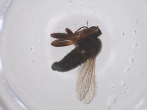  ( - CBG-B04836-D02)  @11 [ ] CreativeCommons - Attribution Share - Alike (2025) Centre for Biodiversity Genomics Centre for Biodiversity Genomics