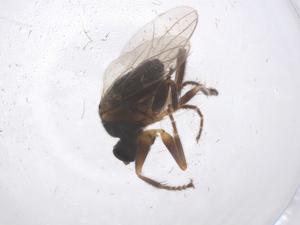  ( - CBG-B04842-F01)  @11 [ ] CreativeCommons - Attribution Share - Alike (2025) Centre for Biodiversity Genomics Centre for Biodiversity Genomics