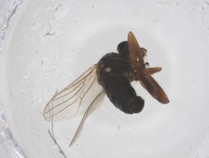  ( - CBG-B04850-F05)  @11 [ ] CreativeCommons - Attribution Share - Alike (2025) Centre for Biodiversity Genomics Centre for Biodiversity Genomics