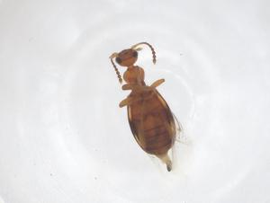  ( - CBG-B23709-G12)  @11 [ ] CreativeCommons - Attribution Share - Alike (2025) Centre for Biodiversity Genomics Centre for Biodiversity Genomics