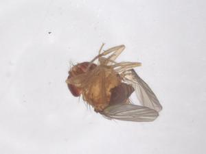  ( - CBG-B01139-A03)  @11 [ ] CreativeCommons - Attribution Share - Alike (2025) Centre for Biodiversity Genomics Centre for Biodiversity Genomics