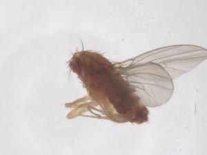  ( - CBG-B01139-A08)  @11 [ ] CreativeCommons - Attribution Share - Alike (2025) Centre for Biodiversity Genomics Centre for Biodiversity Genomics