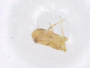  ( - CBG-B01815-D07)  @11 [ ] CreativeCommons - Attribution Share - Alike (2025) Centre for Biodiversity Genomics Centre for Biodiversity Genomics