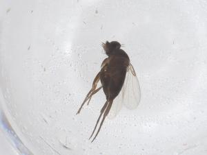  ( - CBG-B02738-E10)  @11 [ ] CreativeCommons - Attribution Share - Alike (2025) Centre for Biodiversity Genomics Centre for Biodiversity Genomics