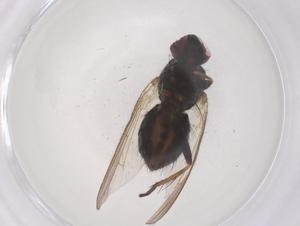  ( - CBG-B04378-A09)  @11 [ ] CreativeCommons - Attribution Share - Alike (2025) Centre for Biodiversity Genomics Centre for Biodiversity Genomics