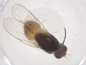  ( - CBG-B23597-F02)  @11 [ ] CreativeCommons - Attribution Share - Alike (2025) Centre for Biodiversity Genomics Centre for Biodiversity Genomics