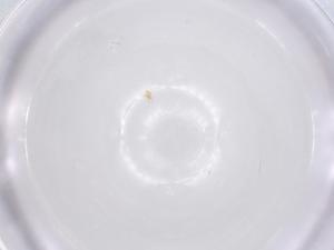  ( - CBG-B23603-D02)  @11 [ ] CreativeCommons - Attribution Share - Alike (2025) Centre for Biodiversity Genomics Centre for Biodiversity Genomics