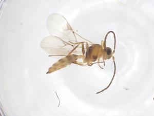  ( - CBG-B23621-H10)  @11 [ ] CreativeCommons - Attribution Share - Alike (2025) Centre for Biodiversity Genomics Centre for Biodiversity Genomics