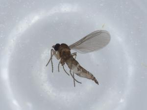  ( - BIOUG58404-F09)  @11 [ ] CreativeCommons - Attribution (2020) Centre for Biodiversity Genomics Centre for Biodiversity Genomics