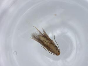  ( - BIOUG57516-H04)  @11 [ ] CreativeCommons - Attribution (2020) Centre for Biodiversity Genomics Centre for Biodiversity Genomics