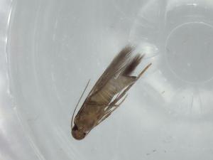  ( - BIOUG57520-B12)  @11 [ ] CreativeCommons - Attribution (2020) Centre for Biodiversity Genomics Centre for Biodiversity Genomics