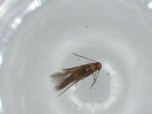  ( - BIOUG57520-D03)  @11 [ ] CreativeCommons - Attribution (2020) Centre for Biodiversity Genomics Centre for Biodiversity Genomics