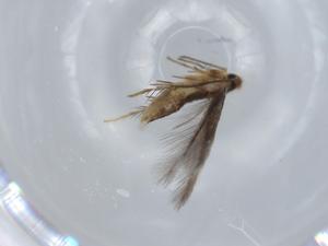  ( - BIOUG57530-C10)  @11 [ ] CreativeCommons - Attribution (2020) Centre for Biodiversity Genomics Centre for Biodiversity Genomics