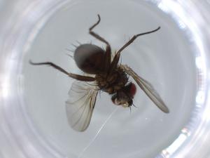  ( - BIOUG57532-H10)  @11 [ ] CreativeCommons - Attribution (2020) Centre for Biodiversity Genomics Centre for Biodiversity Genomics