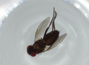  ( - BIOUG58330-F12)  @11 [ ] CreativeCommons - Attribution (2020) Centre for Biodiversity Genomics Centre for Biodiversity Genomics