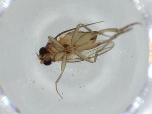  ( - BIOUG57423-E09)  @11 [ ] CreativeCommons - Attribution (2020) Centre for Biodiversity Genomics Centre for Biodiversity Genomics