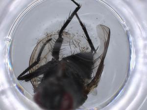  ( - BIOUG59801-B01)  @11 [ ] CreativeCommons - Attribution (2021) Centre for Biodiversity Genomics Centre for Biodiversity Genomics