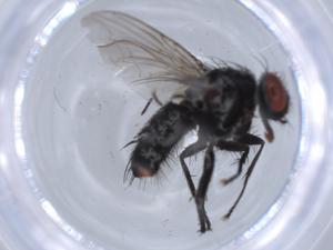  ( - BIOUG65301-B05)  @11 [ ] CreativeCommons - Attribution (2021) Centre for Biodiversity Genomics Centre for Biodiversity Genomics