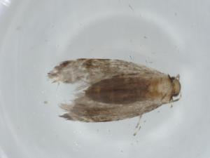  ( - BIOUG65050-E12)  @11 [ ] CreativeCommons - Attribution (2021) Centre for Biodiversity Genomics Centre for Biodiversity Genomics