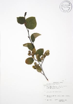  ( - SNEW058_A)  @11 [ ] Copyright (2009) Steven Newmaster University of Guelph BIO Herbarium