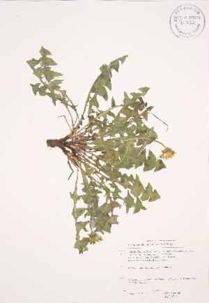  ( - JAG 0714)  @11 [ ] Copyright (2009) Steven Newmaster University of Guelph BIO Herbarium