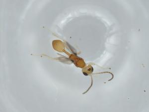  ( - BIOUG63554-E12)  @11 [ ] CreativeCommons - Attribution (2021) Centre for Biodiversity Genomics Centre for Biodiversity Genomics