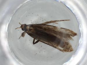  ( - BIOUG56758-H02)  @11 [ ] CreativeCommons - Attribution (2020) Centre for Biodiversity Genomics Centre for Biodiversity Genomics