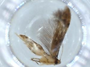  ( - BIOUG56296-D08)  @11 [ ] CreativeCommons - Attribution (2020) Centre for Biodiversity Genomics Centre for Biodiversity Genomics